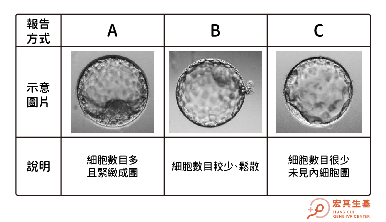 體胚分-05